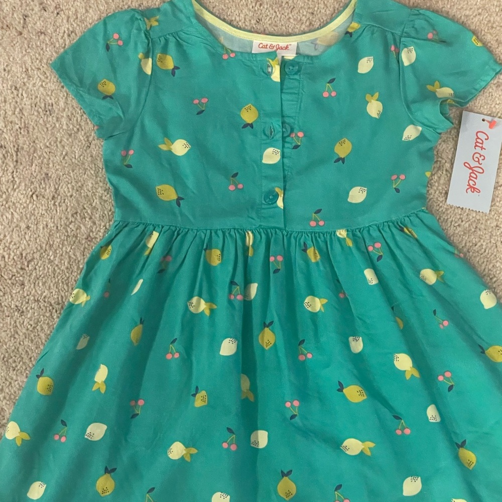 NWT cat & jack dress